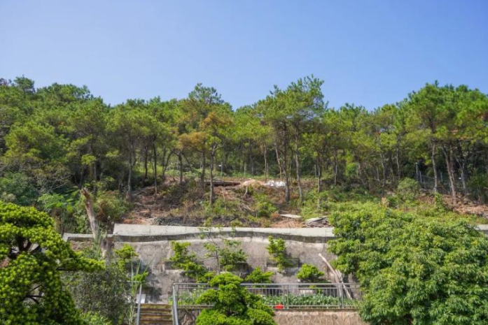 1668999015195202.png image.png